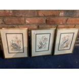 THREE FRAMED BIRD PRINTS SIGNED R M WRIGHT