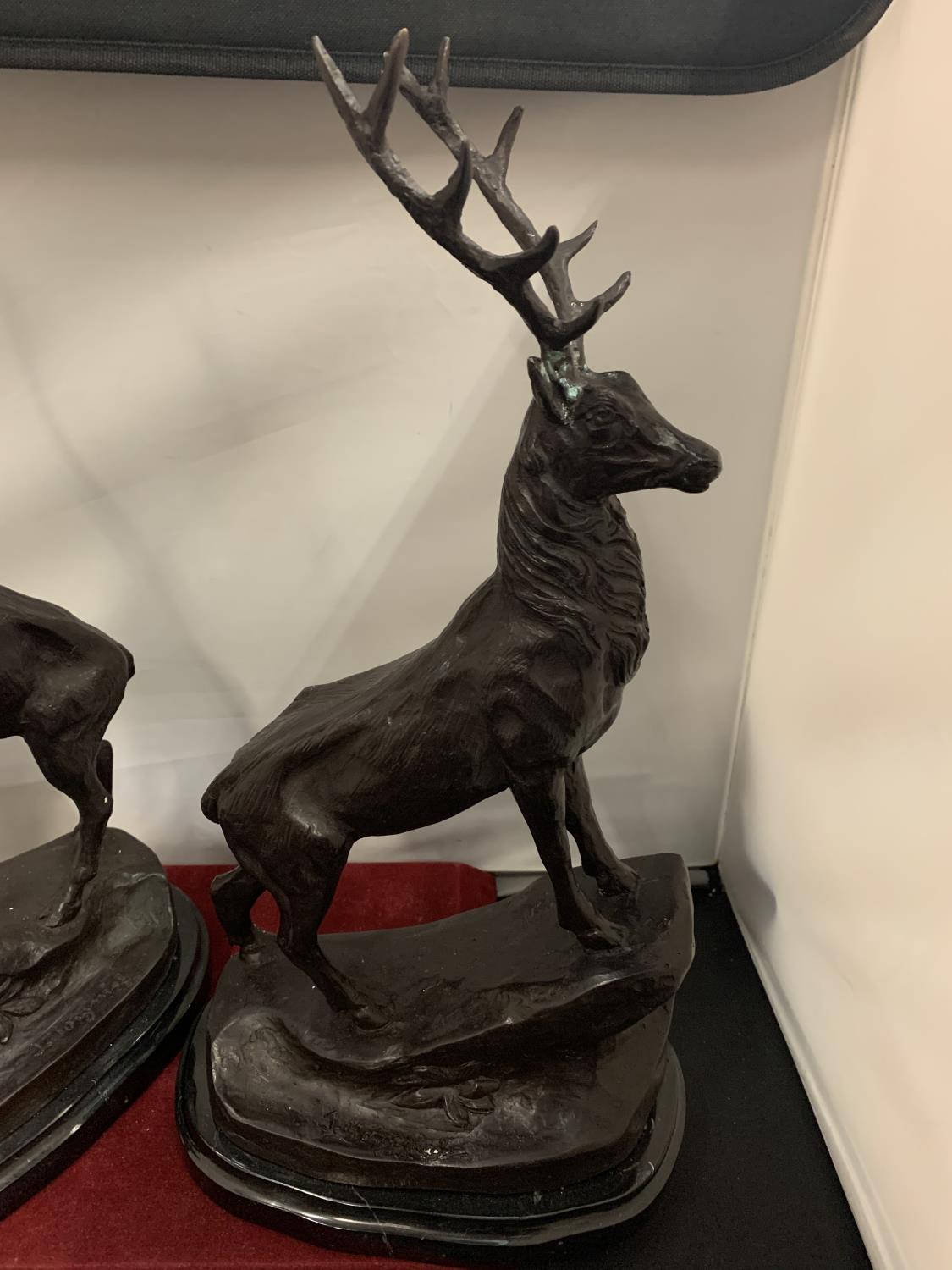 AN IMPRESSIVE PAIR OF BRONZE STAGS SIGNED J MOIGNIEZ - Image 4 of 6