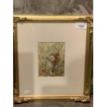 A GILT FRAMED WATERCOLOUR DEPICTING A SQUIRREL IN A TREE SIGNED J CANTRILL 1903
