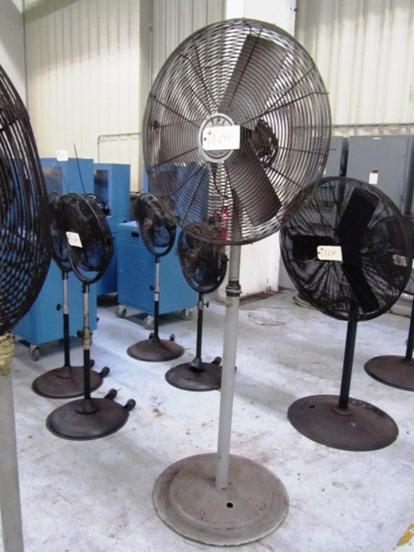 Pedestal Fan