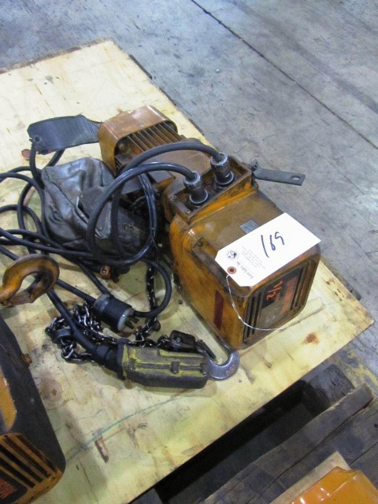 Harrington 1/2 Ton Capacity Electric Hoist with Pendant Control