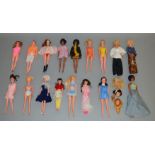 8 Petra fashion dolls, 3 black M&S Shillman dolls along with 6 Hong Kong copy fashion dolls (17)