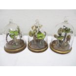 Three miniature dolls house "taxidermy", snakes in a naturalistic settings under glass domes