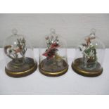 Three miniature dolls house "taxidermy", snakes in a naturalistic settings under glass dome