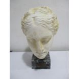 A plaster Classically styled bust on marble base