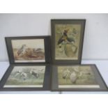Four antique prints of birds including the African Wood Ibis, Rhinoceros Hornbill, Indian Wood