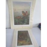 Two Archilbald Thorburn Ltd. edition prints- Spring and Out in the Cold