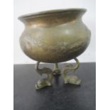 A brass jardiniere on tripod base, the base formed as stylised dolphins