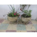 A pair of concrete garden pots