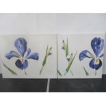Two modern paintings on canvas called "Iris 2" & "Iris 3" by Gianpaolo Giancovich
