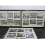 Three framed sets of photographs for productions of "The Geisha" 1955-56, "Katinka" 1952-53 and