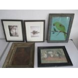 A painting on glass of a parrot along with assorted other prints and photographs