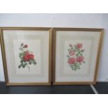 A pair of framed Chaponnier floral prints