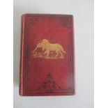 Hardback "British Rural Sports" by Stonehenge. Bound in red decorated cloth on front board and spine