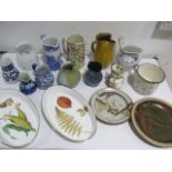 A collection of various ceramic & pottery jugs including Spode Blue Italian. Masons etc, along