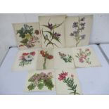 A collection of nine botanical watercolour paintings, one dated 1797