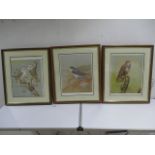Three framed limited edition bird of prey prints by artist David Andrews. Prints are entitled "