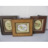 Two antique miniature watercolours of birds along with one other