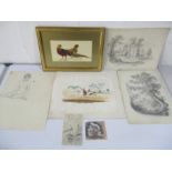 A collection of pencil sketches, along with framed picture of two pheasants etc