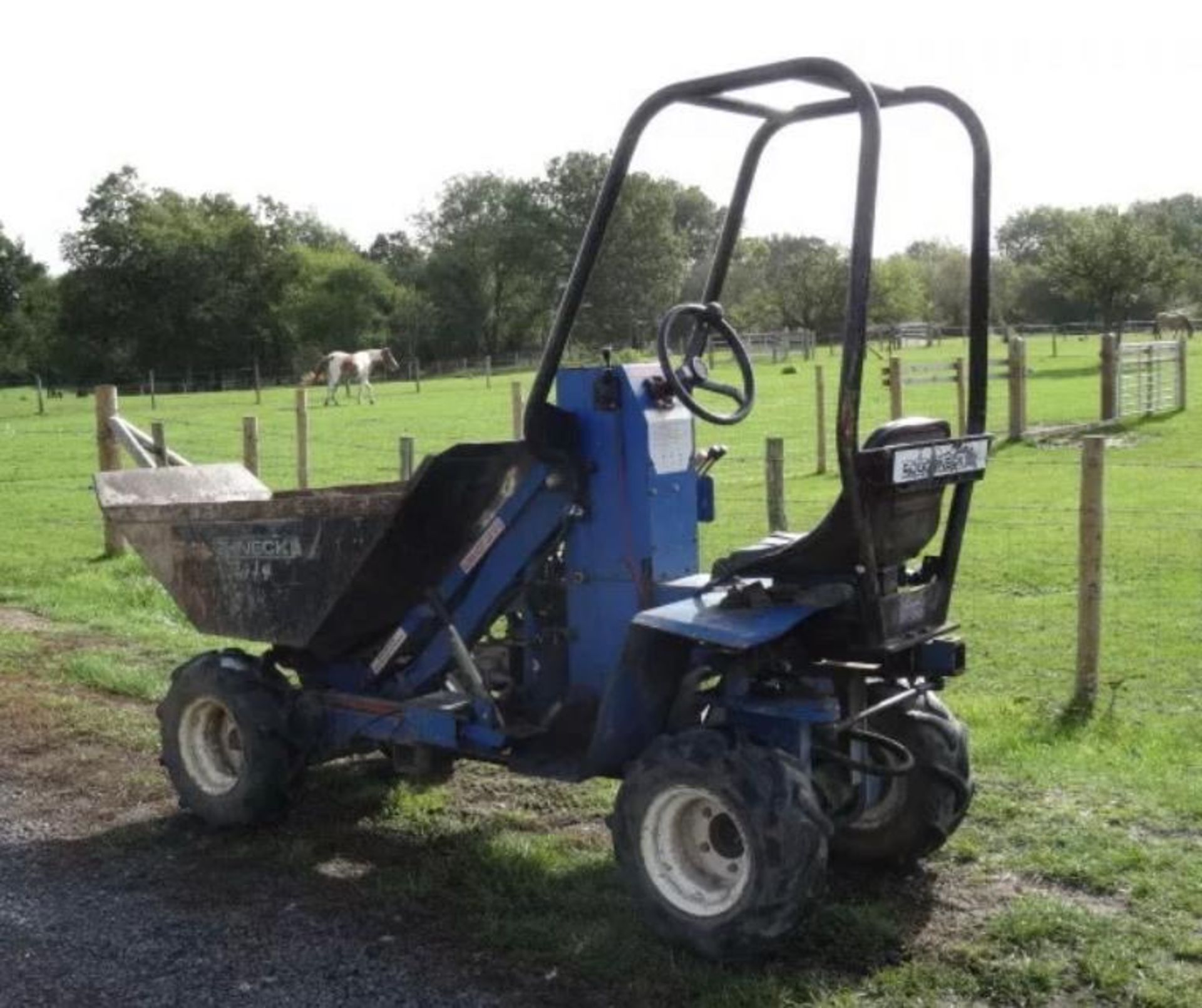 ROUGHNECK +4 TYPE HIGH TIP COMPACT SIZED DUMPER SUPPLIED WITH TOWING EQUIPMENT AS SHOWN. VENDOR'S - Image 6 of 11