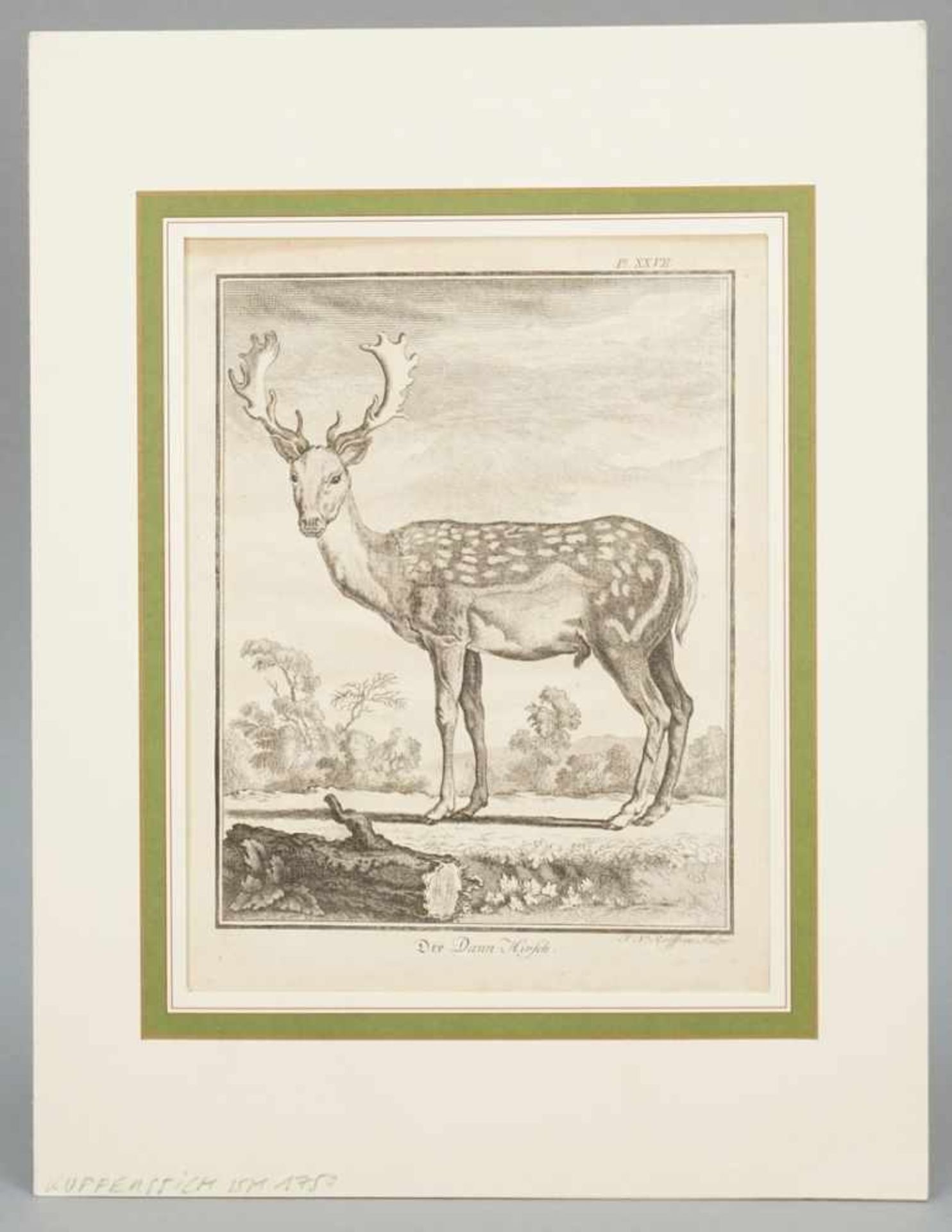 Franz Nikolaus Rolffsen, "Der Dann-Hirsch" - Bild 2 aus 3