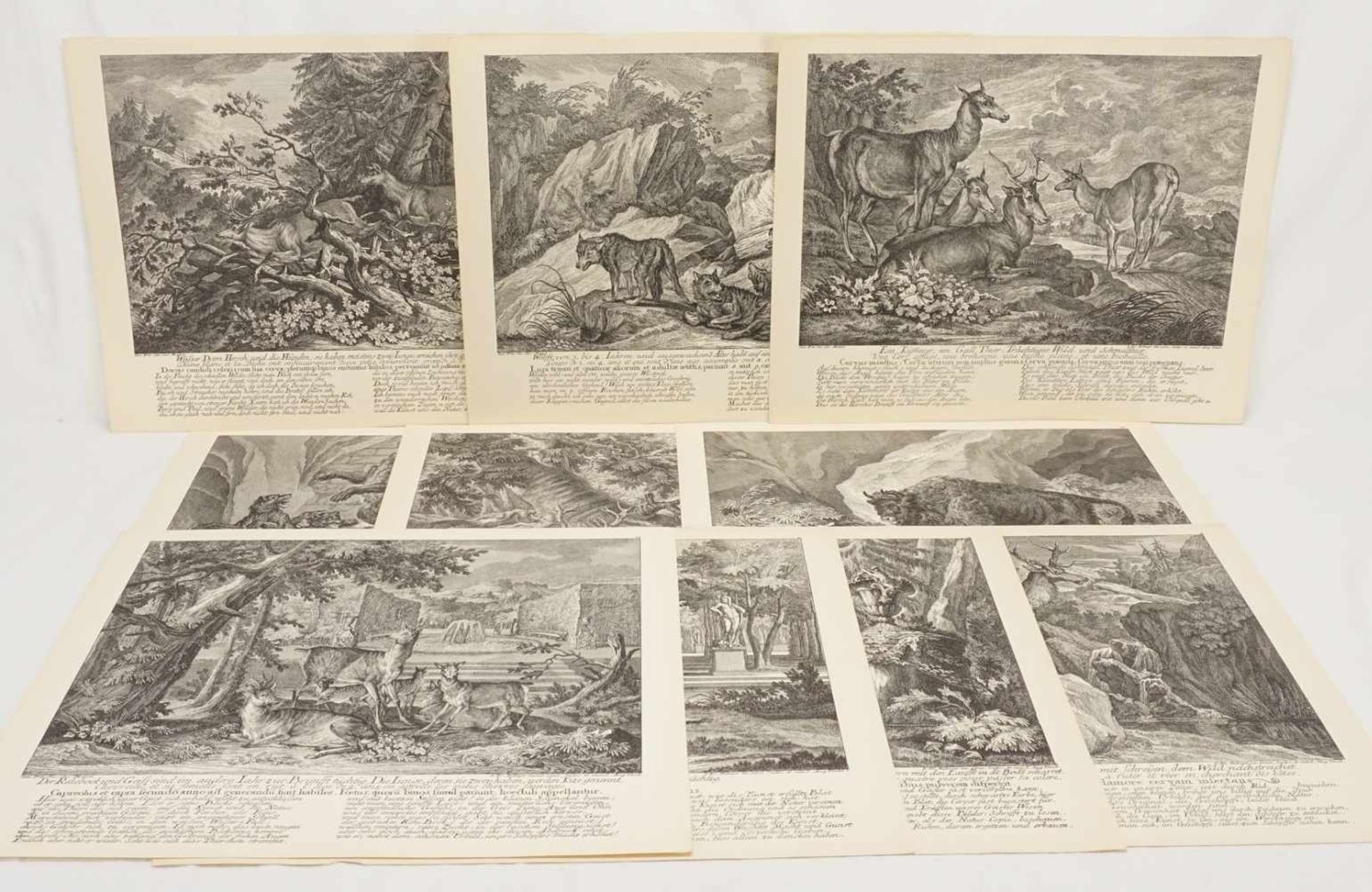 Johann Elias Ridinger, "Zehn Tierdarstellungen"