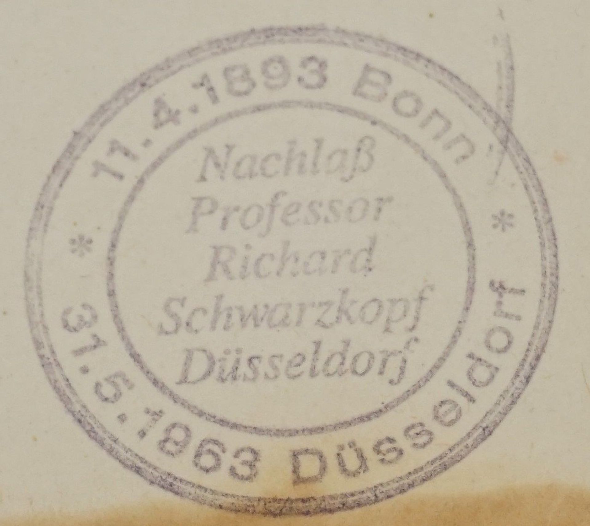 Richard Schwarzkopf, "Pferdestudie" - Bild 4 aus 4