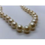 Strand of pearls