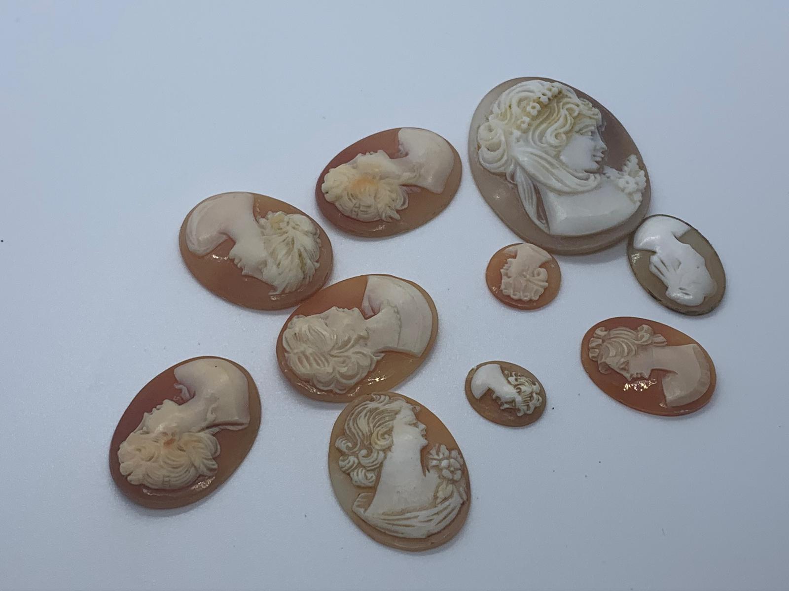 Ten assorted cameo shells