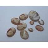 Ten assorted cameo shells