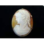 Cameo brooch in gold frame