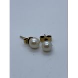 9ct gold pearl earrings