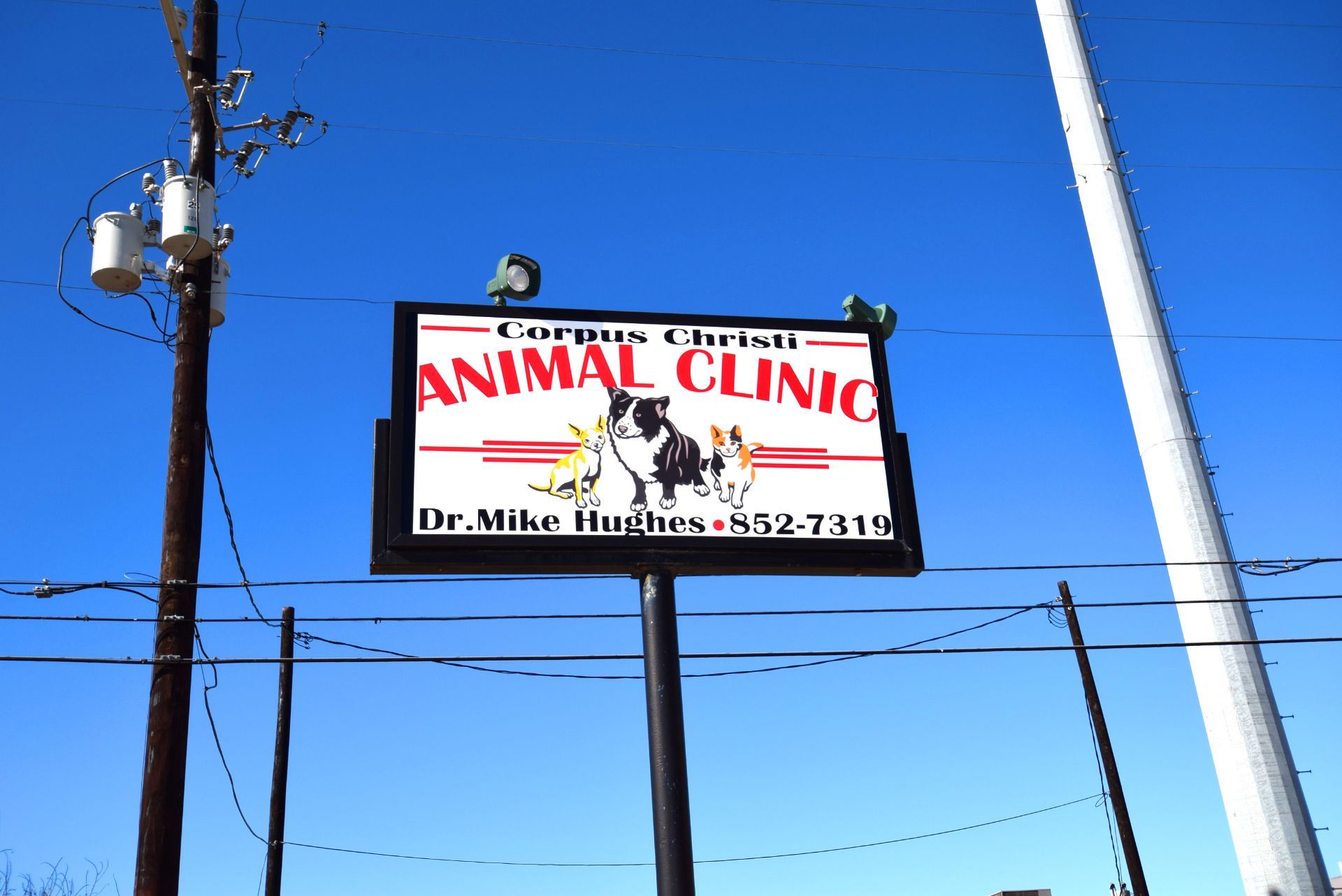 Corpus Christi Commercial Building - Image 11 of 49