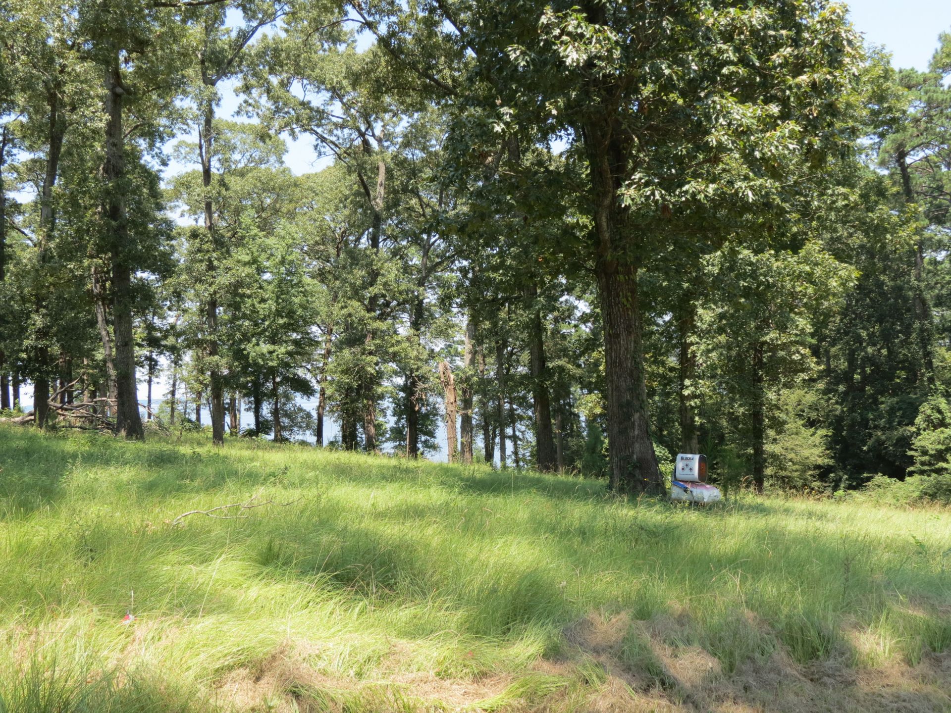 Custom Home on Toledo Bend with Water Views - Image 5 of 10