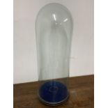 Large Victorian glass dome W:33cm x D:33cm x H:97cm