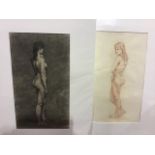 George Hodgson(1874-1921) Two unframed still life images of nudes. Mounted/unframed. Each 53cm x