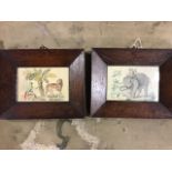 Indian School. Two miniature watercolour images of South Asian flora and fauna on cream white panels