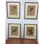 Four hand coloured lithograph prints of world flora. In gilt frames.Stamped London pub 1806 by R.