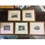 Five framed etching prints of dogs and horses. W:32cm x D:cm x H:29cm