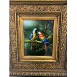 An oil painting of two macaws in ornate frame. W:19cm x D:cm x H:24cm