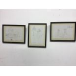 Debbie Ryder. Three pencil on paper caricatures of well dressed gentlemen. In glazed frames. 20cm