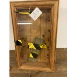 A small pine display cupboard with glass shelves W:35cm x D:12cm x H:57cm
