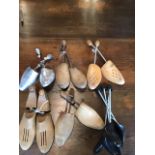Selection of shoe trees