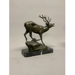 P. Lecourtier. A patinated French bronze model of a stag on a marble plinth. Stamped P.Lecourtier.