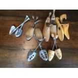 Selection of shoe trees