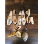 Selection of shoe trees
