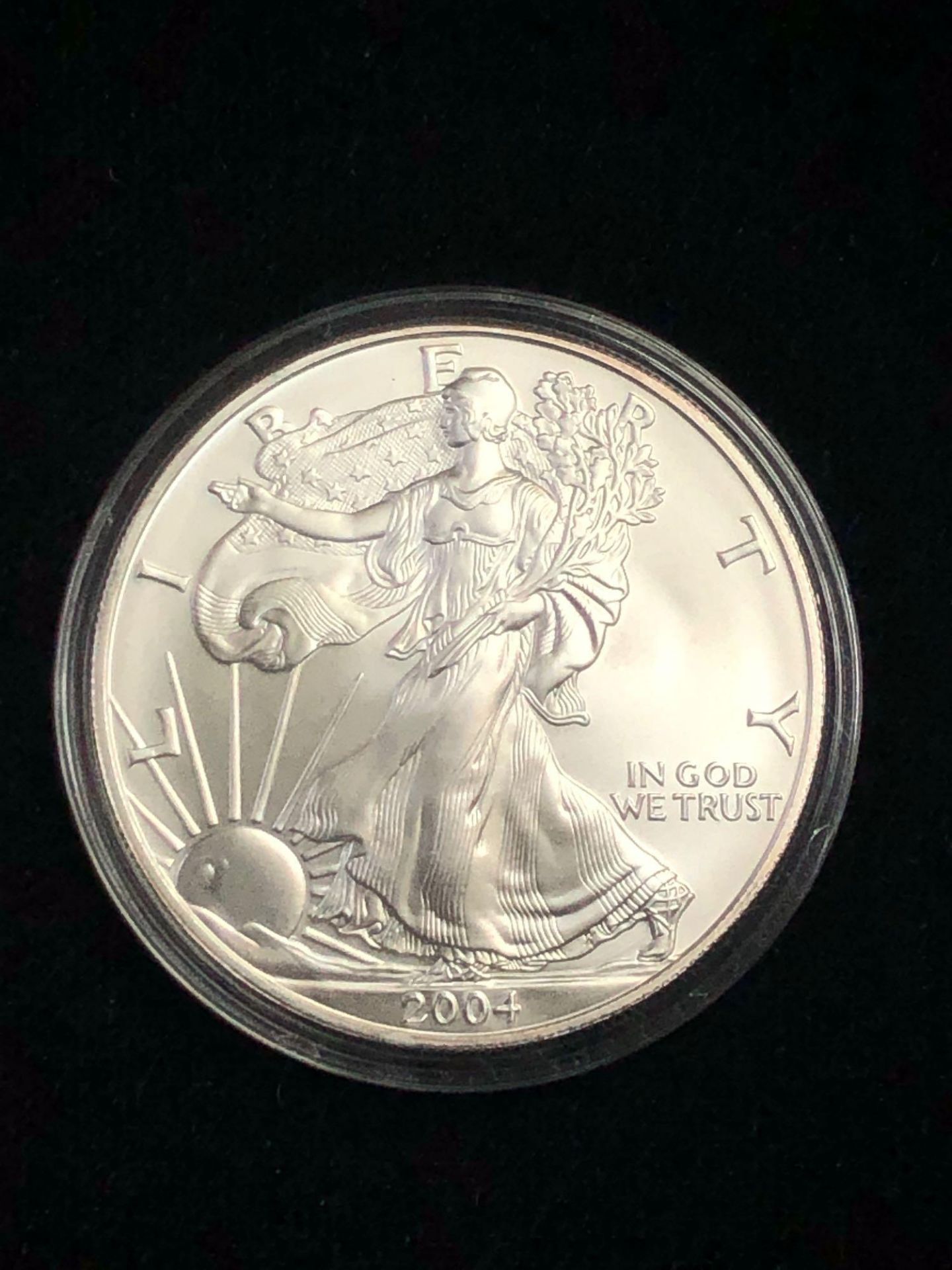 2004 SILVER AMERICAN EAGLE 1 OZT COIN