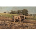 Verheyden I., oxen pulling the plough, oil on canvas, 44,5 x 69,5 cm