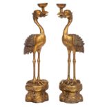 A large pair of vintage gilt wooden crane bird sculptures, 1960's, H 201 - W 85 - D 51 cm