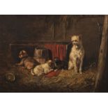 De Vos V., puppies in the hay, oil on canvas, 32 x 45 cm